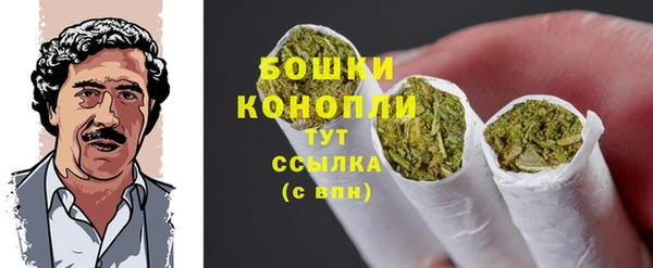 гидра Пестово
