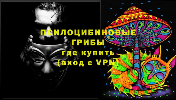 винт Переславль-Залесский