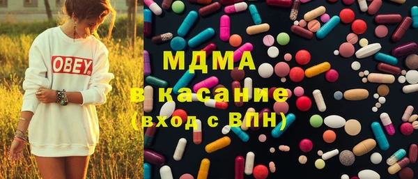 сатива Покачи