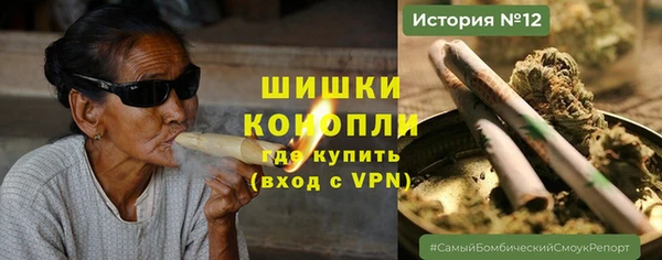 гидра Пестово