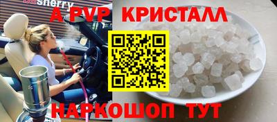 герыч Кингисепп