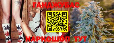 герыч Кингисепп