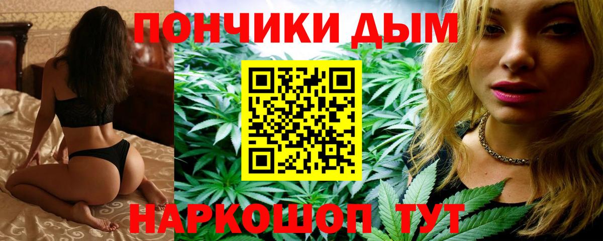 Канабис семена Павловский Посад